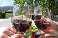 VIP Wine Tasting for 4 in California 202//135